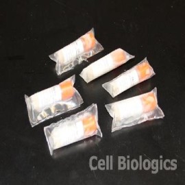 CB DH5 alpha Ecoli competent cells